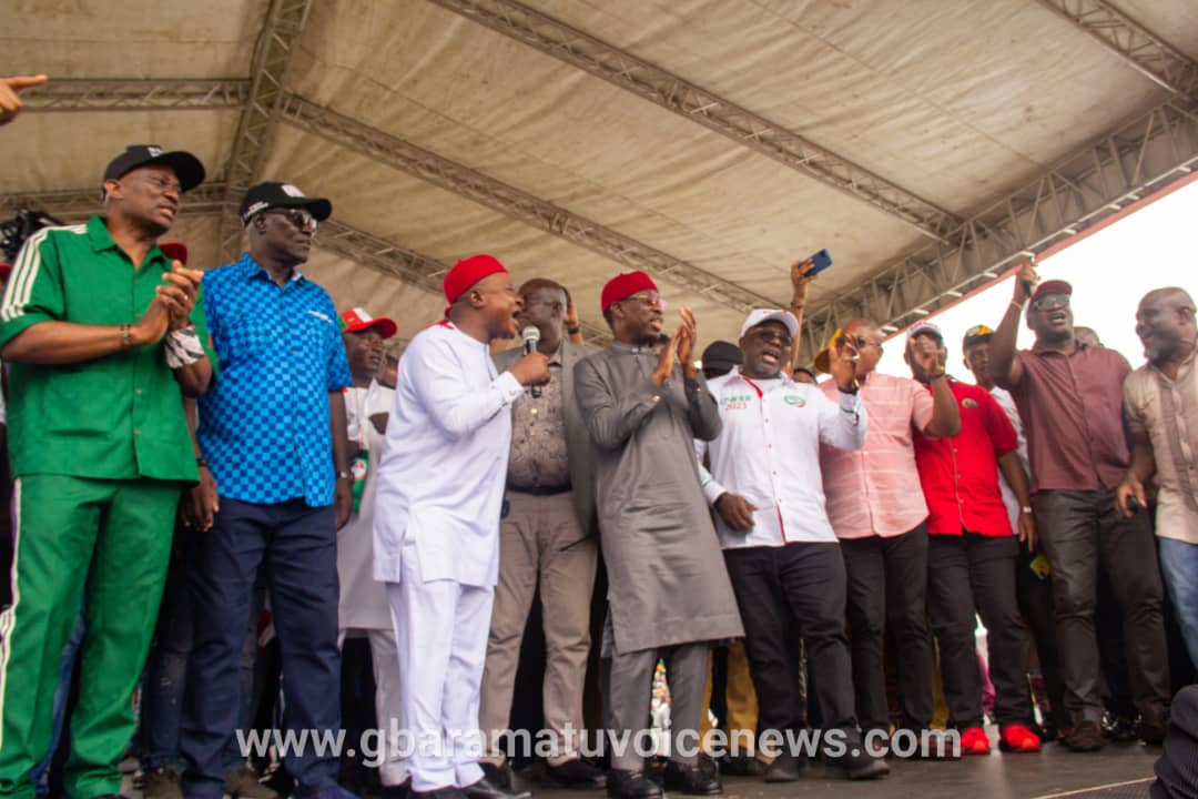 Ozoro mega rally and imperatives of Delta PDP reconciliation