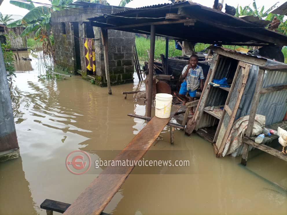 [PHOTOS] Houses submerged, property destroyed as flood ravages Ayakoromo communities in Burutu