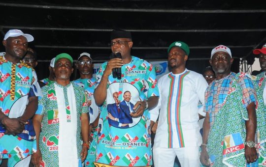 Ijaw nation will host tertiary institution in Delta State - Omo- Agege