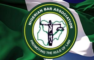 Steer clear of matters you are clueless about, Egbema Traditional Council warns Warri NBA, Ijaw Lawyers, others
