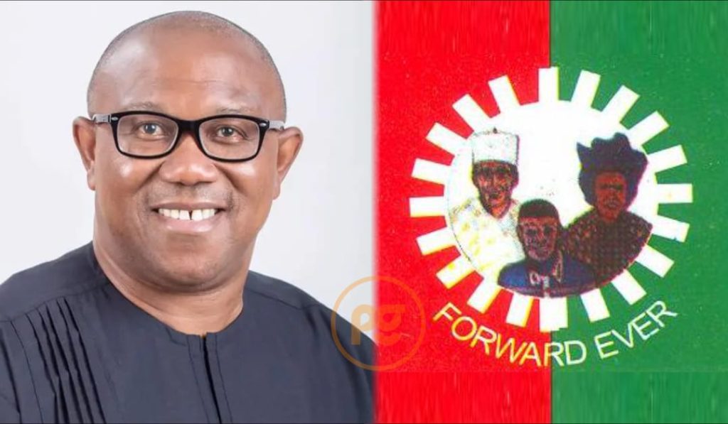 An open letter to Peter Obi on his call to Obidient members to vote Labour Party’s candidates