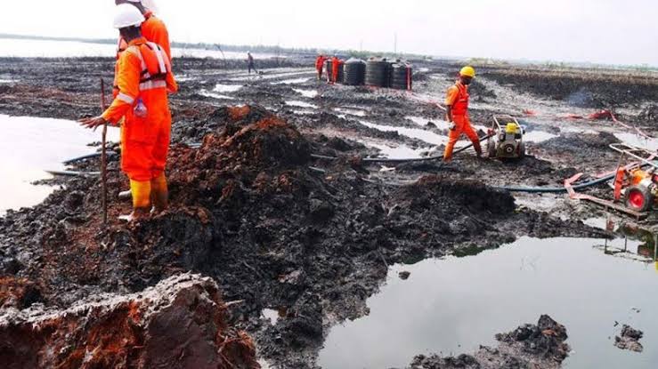 FEC approves additional N129bn for Ogoni clean-up in Niger Delta 