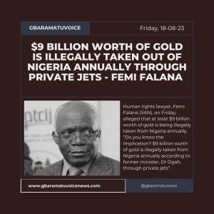 $9 billion worth of gold is illegally taken out of Nigeria annually through private jets - Femi Falana